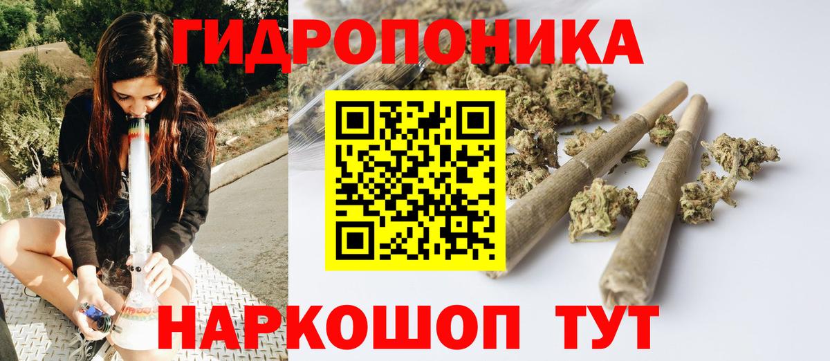 Каннабис семена  Конопля конопля  Аша  Вход с VPN  Каннабис сатива 